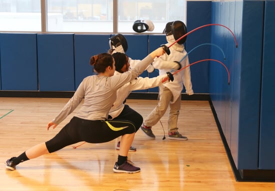 fencing3.jpg